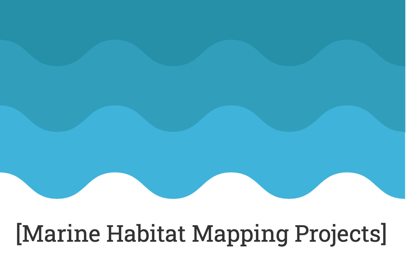 Mapping of Posidonia oceanica in Laganas and Alikes Bays, Zakinthos Isl.